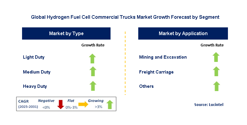 Hydrogen Fuel Cell Commercial Trucks Market by Segment